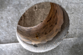 Kernbohrung in einem instandgesetzten Fassadenelement mit Basaltbewehrung in einer Mörtelschicht 