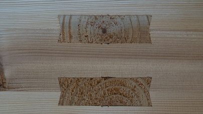 Vergraten: Die Vollholzelemente von holzius ermöglichen ein Massivholzsystem bestehend aus Wand-, Dach- und Deckenelementen, das ohne Leim- und Metallverbindungen auskommt | FRILO Software