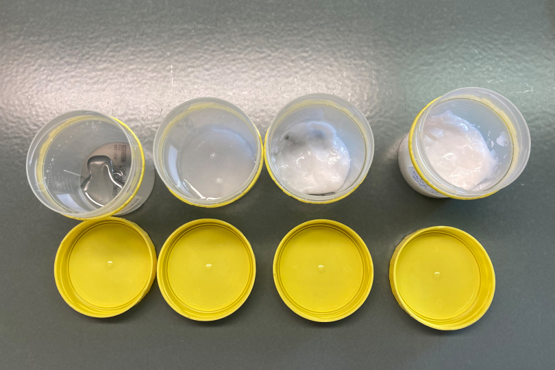 Cyclodextrin-Gele als Adsorbermaterial umschließen die giftigen Holzschutzmittel und kapseln sie vollständig ein. Foto: © Fraunhofer IBP