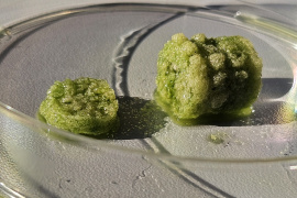 „Lebendes“ Baumaterial. Grün entsteht durch das Chlorophyll der lebenden Bakterien. © Fraunhofer IKTS