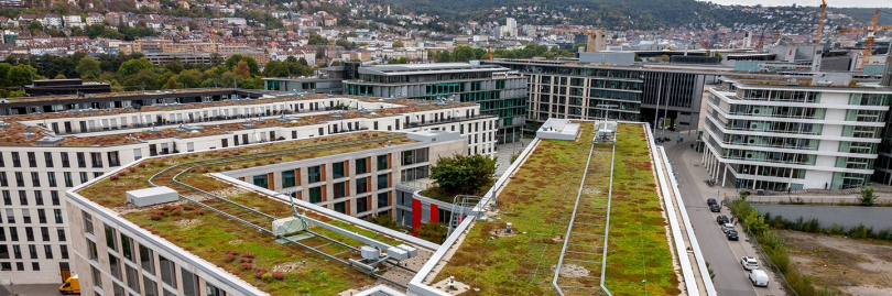 Die Begrünung als Bestandteil des gebautem Raumes gewinnt mehr und mehr an Bedeutung. Foto: Fraunhofer IBP