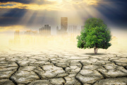 Mitigation des Klimawandels - Beitrag und Transformation der gebauten Umwelt sowie Ansätze der Tragwerksplanung - 23.01.2024 - Online