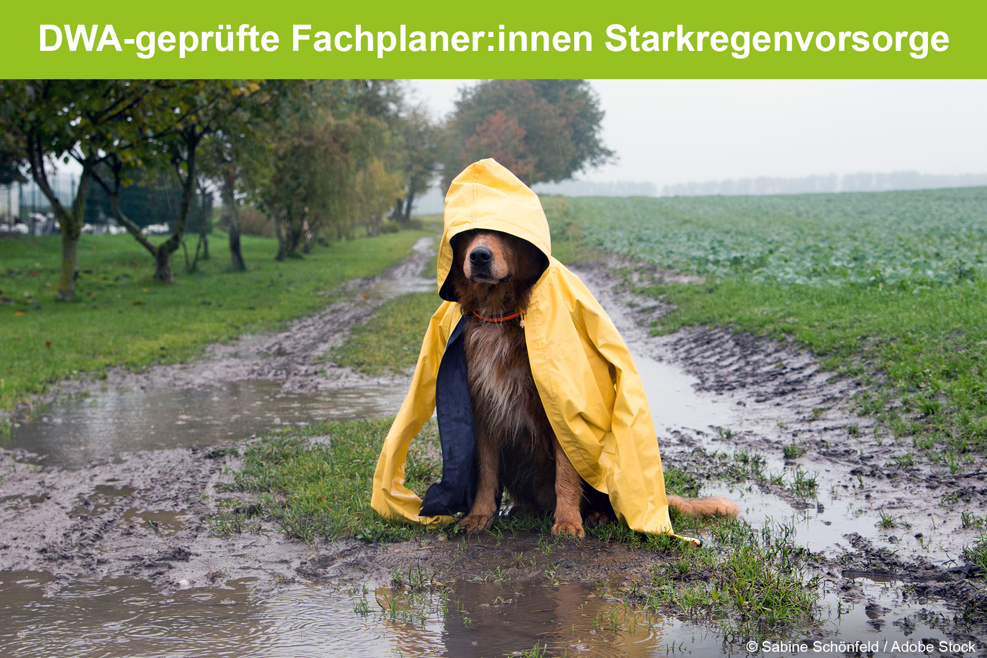 DWA-geprüfte Fachplaner:innen Starkregenvorsorge