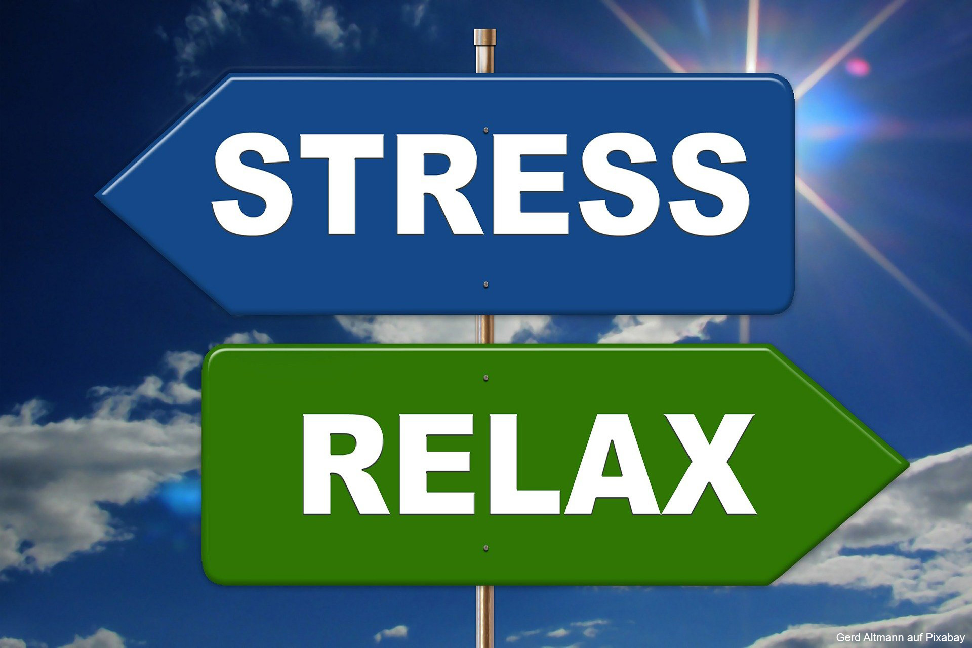 Mehr Gelassenheit im Alltag – Strategien zur Stressbewältigung (Online-Seminar)